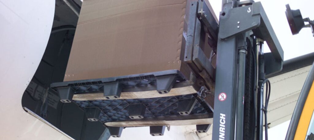 export01-transformed